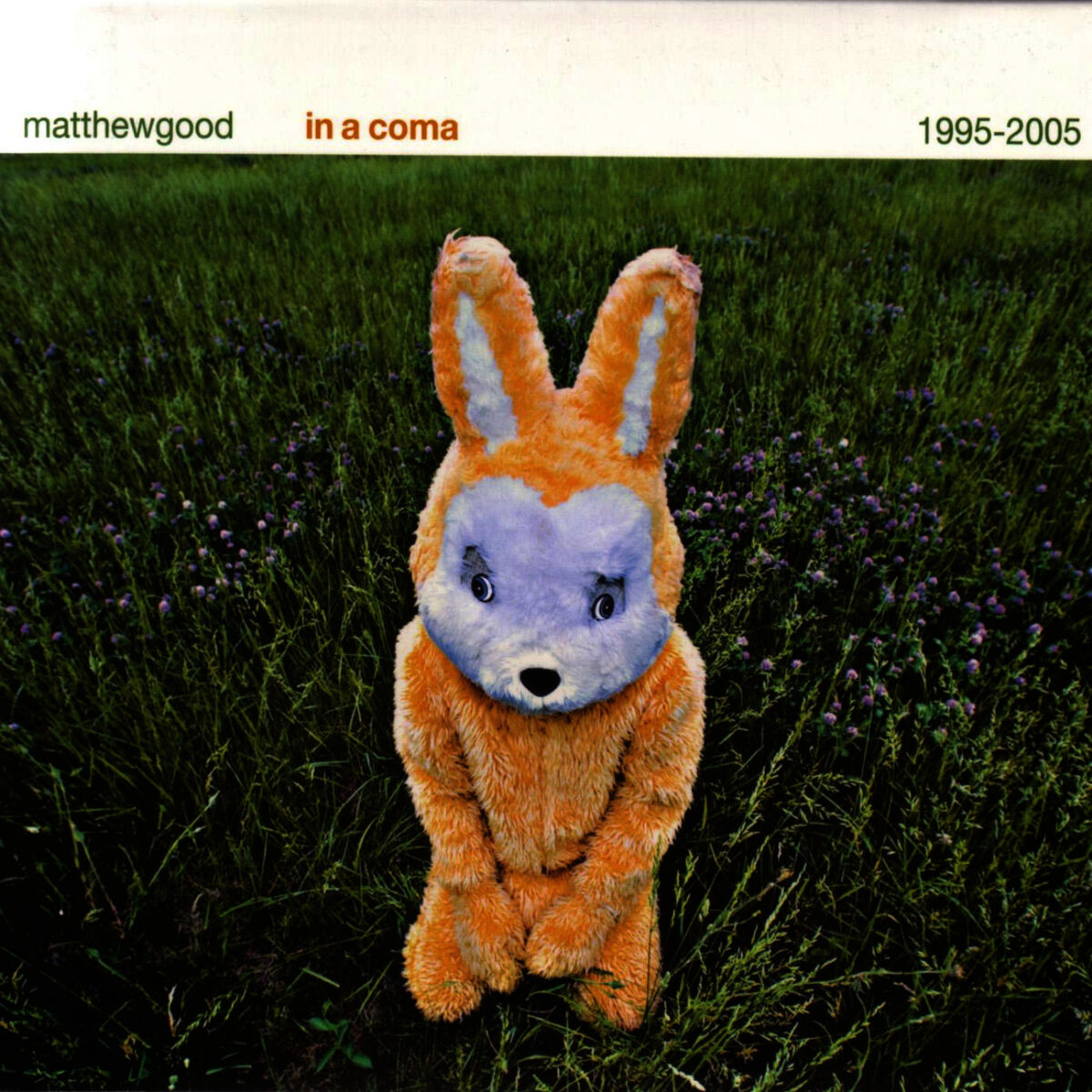 Matthew Good
